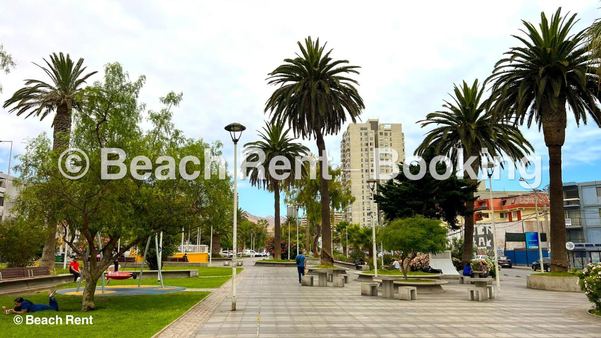 Apartamento Rent Anf *